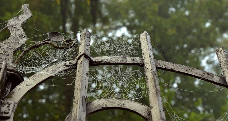 Interdimensional Portals